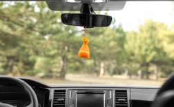 10 Best Car Air Fresheners Of 2022 | Reviews + Buying Guide Inside